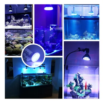 RAYWAY E27 led akvarijní světlo Rostlin PAR38 Žárovka rampe led akvarijní Osvětlení Mořské Korálové Útesy Rostou Lampa Fish Tank dekorace