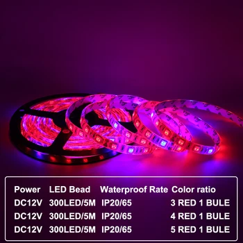 5m LED Pruh Světla Rostou Sada 12V DIY Flexibilní LED Strip 5050 Červená Modrá 3:1 4:1 5:1 S Adaptérem pro Skleníkových Hydroponické rostliny